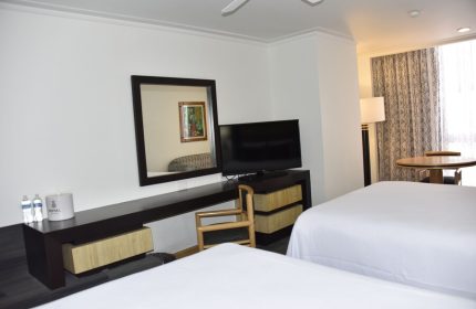 Hotel Royal Reforma room. Gay-friendly hotel in Zona. Two beds, TV, desk, and mirror. Comfortable accommodations for gay travelers.