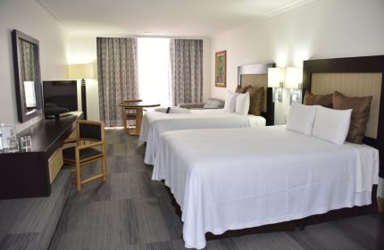 Hotel Royal Reforma: Gay-friendly hotel room with two beds, desk, and TV. Comfortable accommodations for gay travelers in Zona 8.
