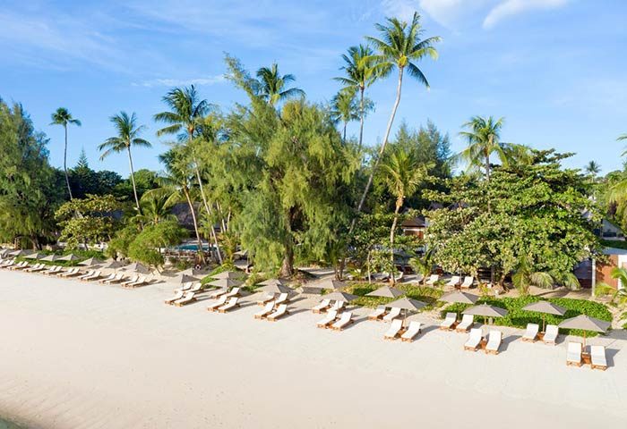 SALA Samui Choengmon Beach, a gay-friendly hotel. Beachfront view with palm trees, sun loungers and umbrellas. Ideal for gay travel.