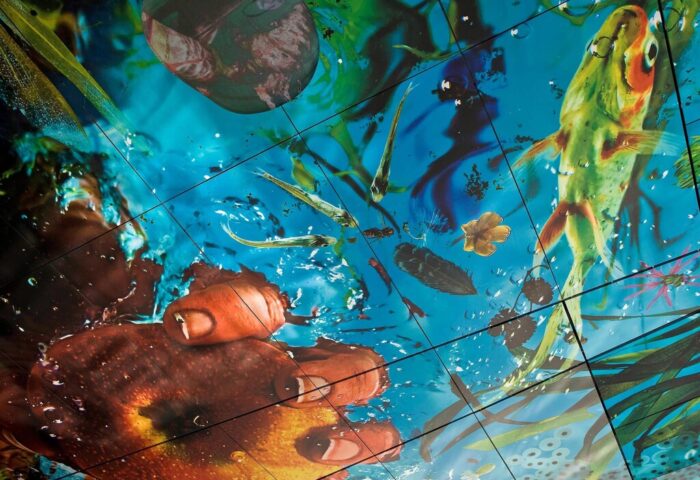 SO/ Vienna gay-friendly hotel ceiling art. Fish, plants, and water create a vibrant, abstract aquatic scene. Modern design element.