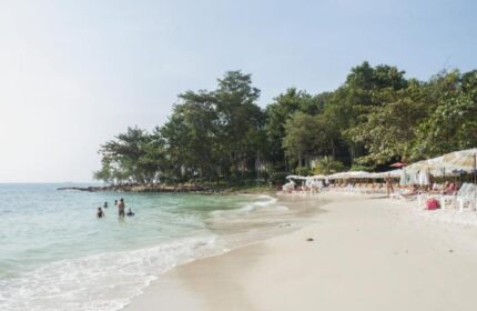 Beach at Samed Villa Resort, a gay-friendly hotel. People swim in the sea, others relax on beach chairs under umbrellas. Tropical trees backdrop.
