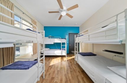 Samesun Hollywood hostel dorm room. Gay-friendly hotel near Walk of Fame with bunk beds, wood floor, blue accent wall, and ceiling fan.