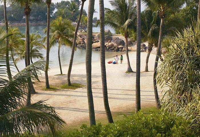 Beach at Shangri-La's Rasa Sentosa Resort & Spa, a gay-friendly hotel. Palm trees, sand, and ocean view. Couple with kayaks on the beach.