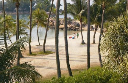 Beach at Shangri-La's Rasa Sentosa Resort & Spa, a gay-friendly hotel. Palm trees, sand, and ocean view. Couple with kayaks on the beach.