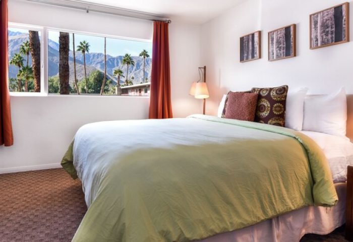 Skylark Hotel room. Gay-friendly hotel bedroom with mountain view, palm trees, bed, and bedside table. Comfortable lodging for gay travelers.