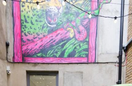 So Hostel's gay-friendly hotel features a vibrant jungle mural with a jaguar and parrot. Outdoor seating area with colorful chairs. String lights add charm.