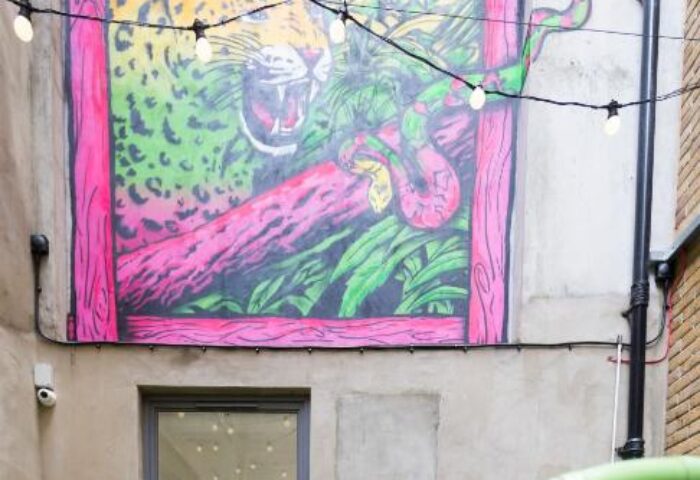 So Hostel's gay-friendly hotel features a vibrant jungle mural with a jaguar and parrot. Outdoor seating area with colorful chairs. String lights add charm.
