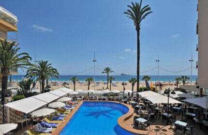 Sol Costablanca adults-only gay-friendly hotel pool and beach view. Palm trees, sunbeds, and tables surround the pool. Benidorm, Spain.