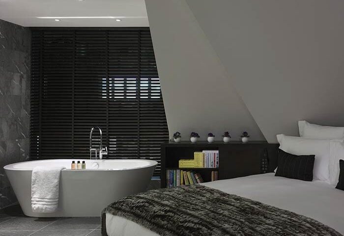 South Place Hotel's pet-friendly, gay-friendly room: Bathtub, bed, and bookshelf. A luxurious stay for LGBTQ+ travelers and their pets.