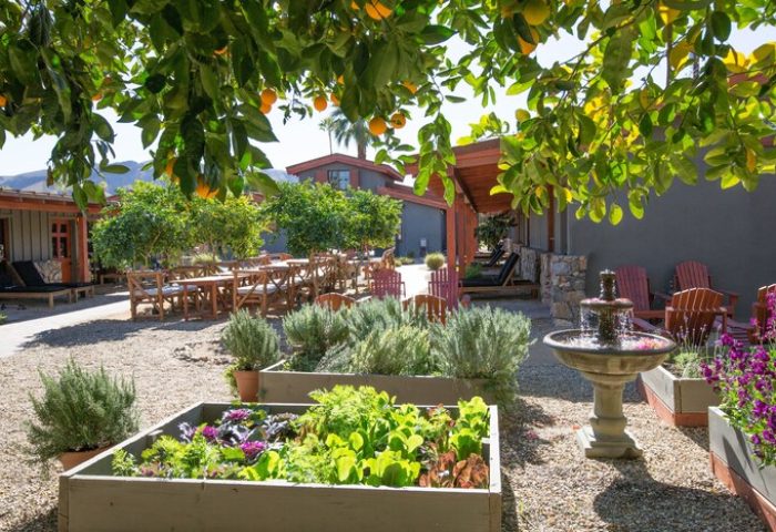 Sparrows Lodge gay-friendly hotel garden view. Outdoor dining, fountain, and lush greenery create a relaxing atmosphere for gay travelers.