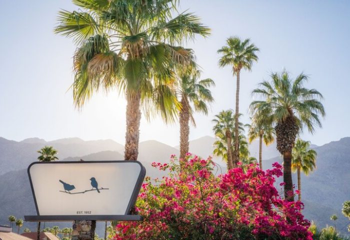 Sparrows Lodge, a gay-friendly hotel. Sign with birds, pink flowers, and palm trees against a mountain backdrop. A relaxing gay travel destination.