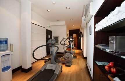 Starhotels Ritz gym. Gay-friendly hotel fitness center with treadmill, elliptical machine, water cooler, towels, and apples. Modern design.