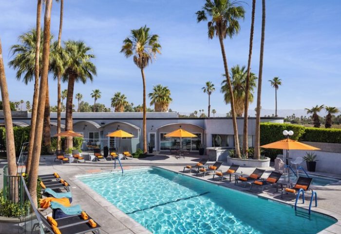 Palm Springs Hotel pool view. Gay-friendly hotel with palm trees, lounge chairs, and umbrellas. Perfect for gay men's travel.