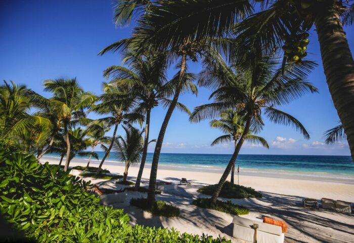 The Beach Tulum Hotel: Palm trees on the beach at this gay-friendly hotel in Tulum, Mexico. Turquoise water and white sand.