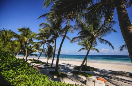 The Beach Tulum Hotel: Palm trees on the beach at this gay-friendly hotel in Tulum, Mexico. Turquoise water and white sand.
