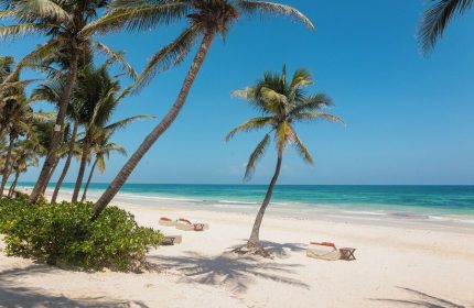 The Beach Tulum Hotel: Gay-friendly hotel with white sand, palm trees, and turquoise sea. Beach loungers invite relaxation. Tulum paradise.