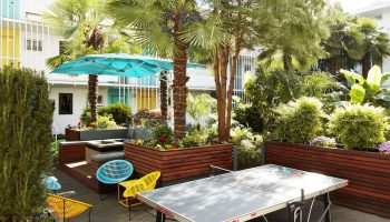 The Burrard Hotel's gay-friendly courtyard. Palm trees, colorful chairs, and a ping pong table create a fun, vibrant outdoor space.
