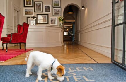 The Fifteen Keys Hotel lobby. Pet-friendly hotel with a dog sniffing the entrance mat. Gay-friendly hotel with red velvet chairs and art.