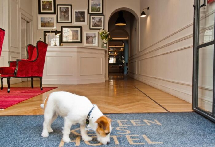 The Fifteen Keys Hotel lobby. Pet-friendly hotel with a dog sniffing the entrance mat. Gay-friendly hotel with red velvet chairs and art.