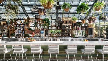 Bar at The LINQ Hotel and Casino, a gay-friendly hotel in Las Vegas. Plants hang above the bar with stools. Liquor bottles on shelves.