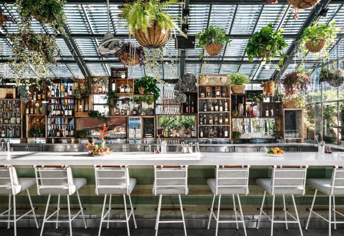 Bar at The LINQ Hotel and Casino, a gay-friendly hotel in Las Vegas. Plants hang above the bar with stools. Liquor bottles on shelves.