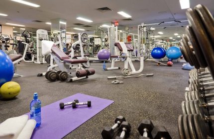 The Sutton Place Hotel Vancouver's gym. Gay-friendly hotel with weights, exercise balls, and machines for a full workout.