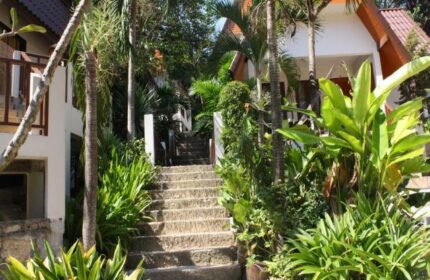 Tok Little Hut, gay-friendly hotel. Stone stairs lead to bungalows amid lush tropical greenery. A tranquil retreat for gay travelers.