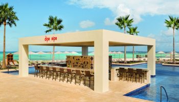 Turquoize at Hyatt Ziva Cancun adults-only all-inclusive swim-up bar. Palm trees, ocean view. Gay-friendly hotel for gay men's travel.