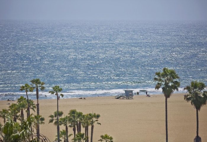 Santa Monica beach view from Viceroy, a gay-friendly hotel. Palm trees, lifeguard stand, and ocean. Perfect for gay travel and relaxation.
