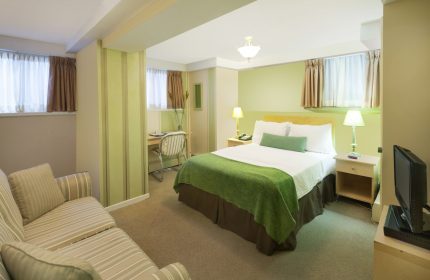 Victoria's Mansion Guest House room. Gay-friendly hotel bedroom with queen bed, desk, and striped sofa. Comfortable travel lodging.