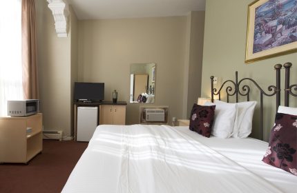 Victoria's Mansion Guest House room. Gay-friendly hotel with bed, TV, mini-fridge, microwave, and air conditioning. Comfortable stay.