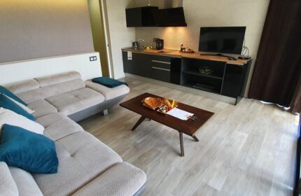 Villa Adler Gay Men Only suite interior. Modern design, L-shaped couch, coffee table, and kitchenette. Gay-Friendly Hotel living space.