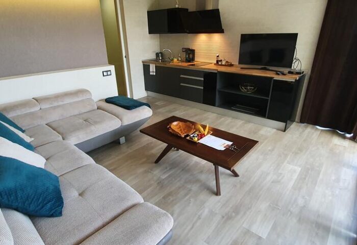 Villa Adler Gay Men Only suite interior. Modern design, L-shaped couch, coffee table, and kitchenette. Gay-Friendly Hotel living space.
