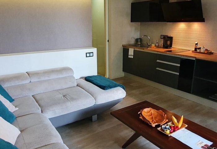 Gay-friendly Villa Adler Gay Men Only hotel room. Interior with sofa, kitchenette, and coffee table. Gay travel lodging.