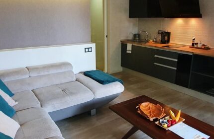 Gay-friendly Villa Adler Gay Men Only hotel room. Interior with sofa, kitchenette, and coffee table. Gay travel lodging.
