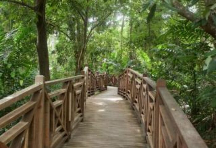 Wooden boardwalk at gay-friendly Villa Samadhi Singapore by Samadhi. Lush greenery surrounds the path. A tranquil escape for gay travelers.