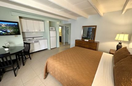 Gay Friendly Hotel  Palm Springs (CA)
