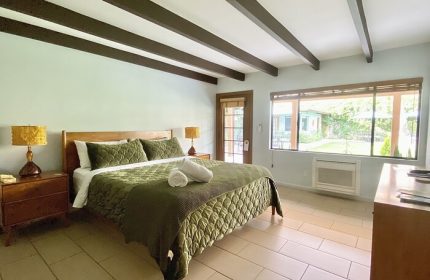 Gay Friendly Hotel  Palm Springs (CA)