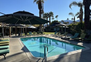 Vista Grande Resort pool. Gay-friendly hotel with lounge chairs, umbrellas, and palm trees. A gay men's resort for relaxation and vacation.