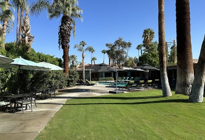 Vista Grande Resort's pool area, a gay men's resort. Palm trees, lounge chairs, and umbrellas create a relaxed, gay-friendly hotel vibe.