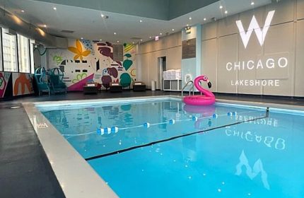 Indoor pool at the gay-friendly W Chicago - Lakeshore hotel with a pink flamingo float. Colorful mural and lounge chairs visible.