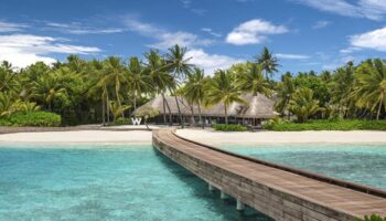 Wooden pier at W Maldives, a gay-friendly hotel. Tropical island with palm trees, white sand beach, and turquoise water. Perfect for LGBTQ+ travel.