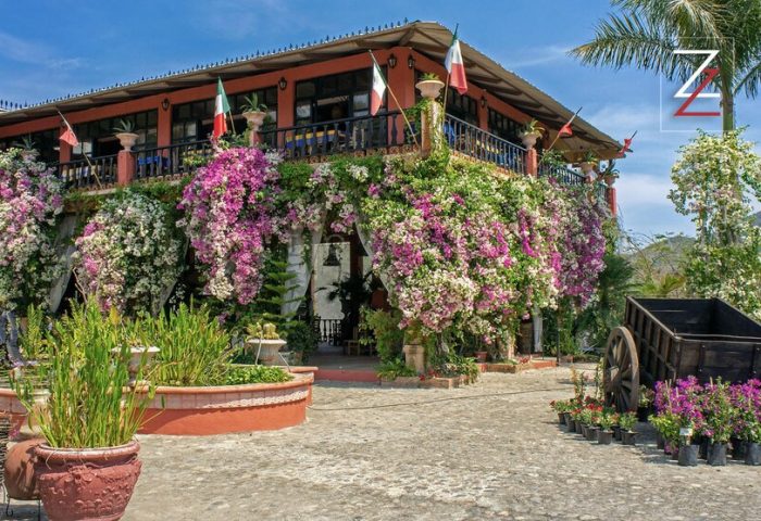 ZonaZ Boutique Hotel's exterior. This gay-friendly hotel features lush bougainvillea, flags, & garden decor. A tranquil, welcoming space.