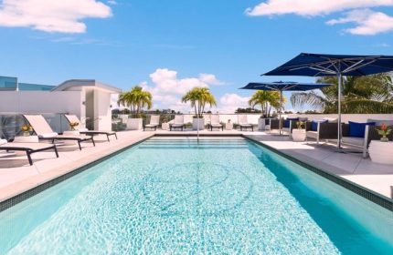 Rooftop pool at a gay hotel in Key West. Lounge chairs, umbrellas, and palm trees surround the pool, offering a relaxing and luxurious vacation spot.