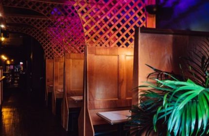 Good Judy bar interior in New York. Cozy booths with lattice overhead, purple lighting, and plants. A popular queer bar for gay men.