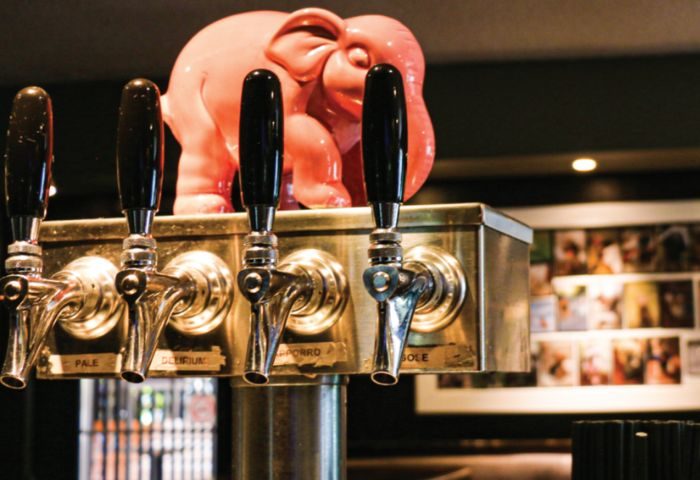 Beer taps at Hair of the Dog Pub in Toronto. Pink elephant statue on top. Gay travel destination known for its friendly atmosphere.