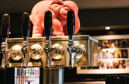 Beer taps at Hair of the Dog Pub in Toronto. Pink elephant statue on top. Gay travel destination known for its friendly atmosphere.