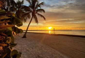 Higgs Beach sunset in Key West. Palm trees frame the golden sky over the ocean. A gay cruise stop known for its beauty.