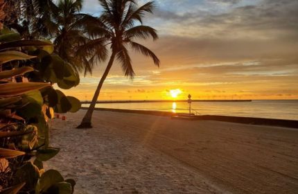 Higgs Beach sunset in Key West. Palm trees frame the golden sky over the ocean. A gay cruise stop known for its beauty.