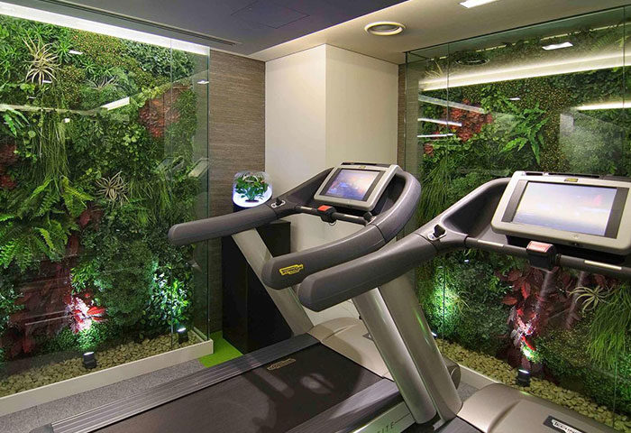 Sofitel London St James Hotel's gym with treadmills facing a green wall. A gay-friendly, Instagram-worthy space for wellness and fitness.